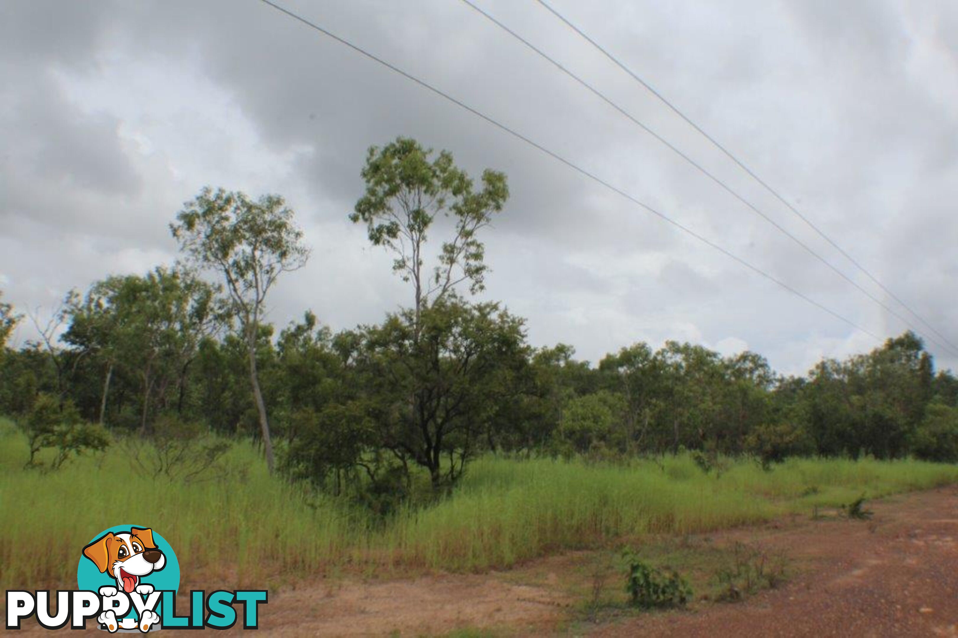 1485 Leonino Road Darwin River NT 0841