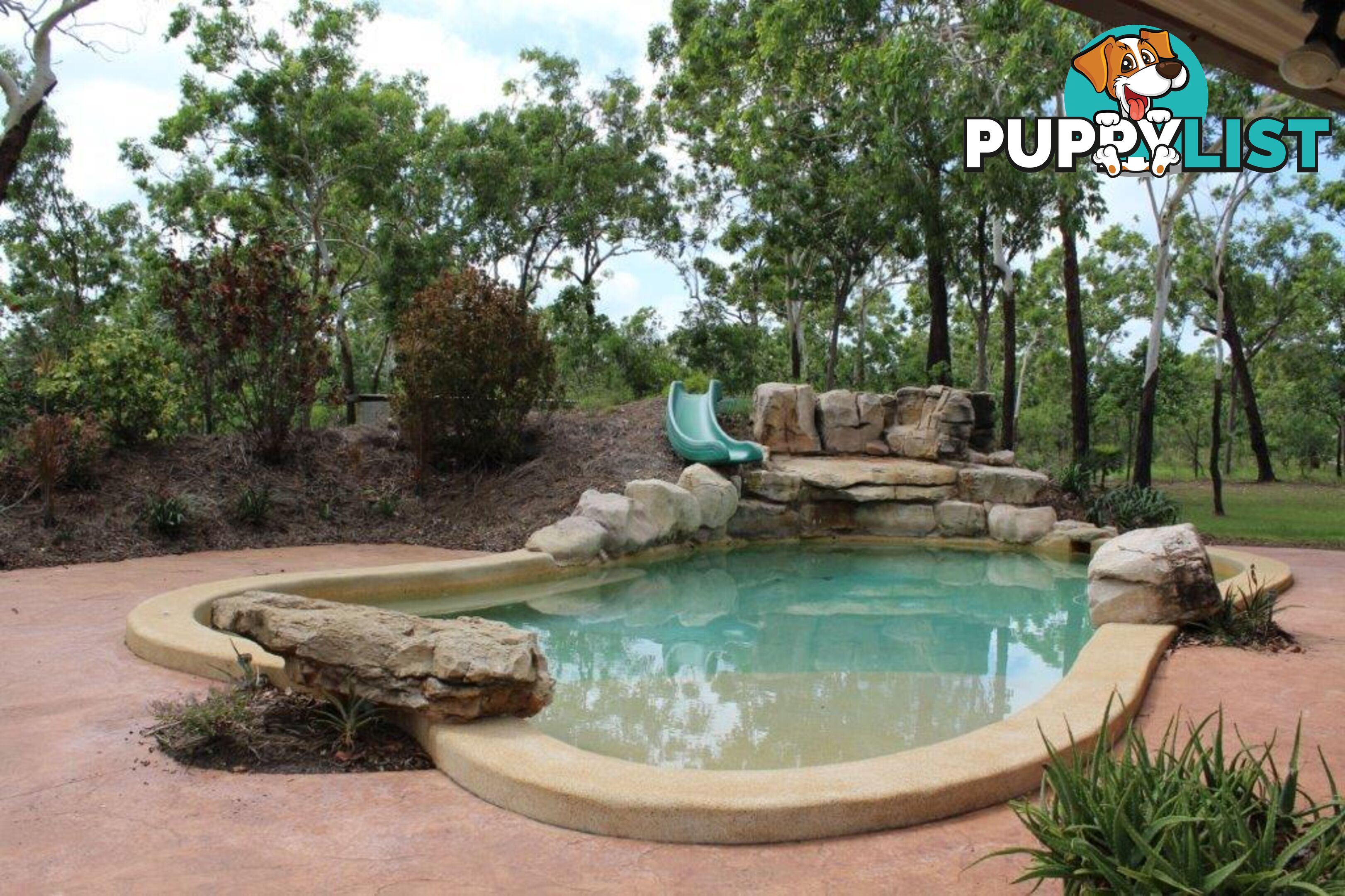 Acacia Hills NT 0822