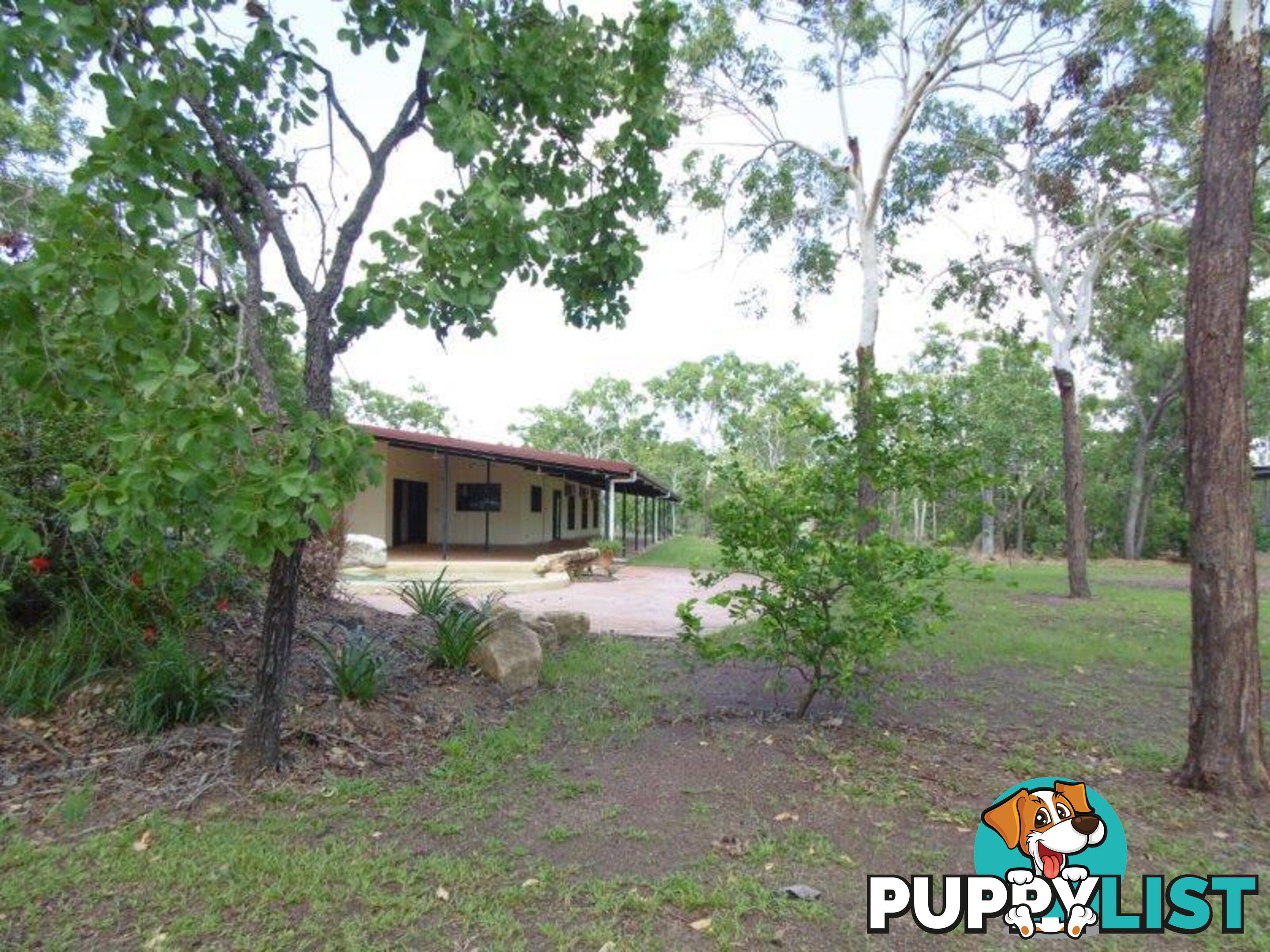 Acacia Hills NT 0822