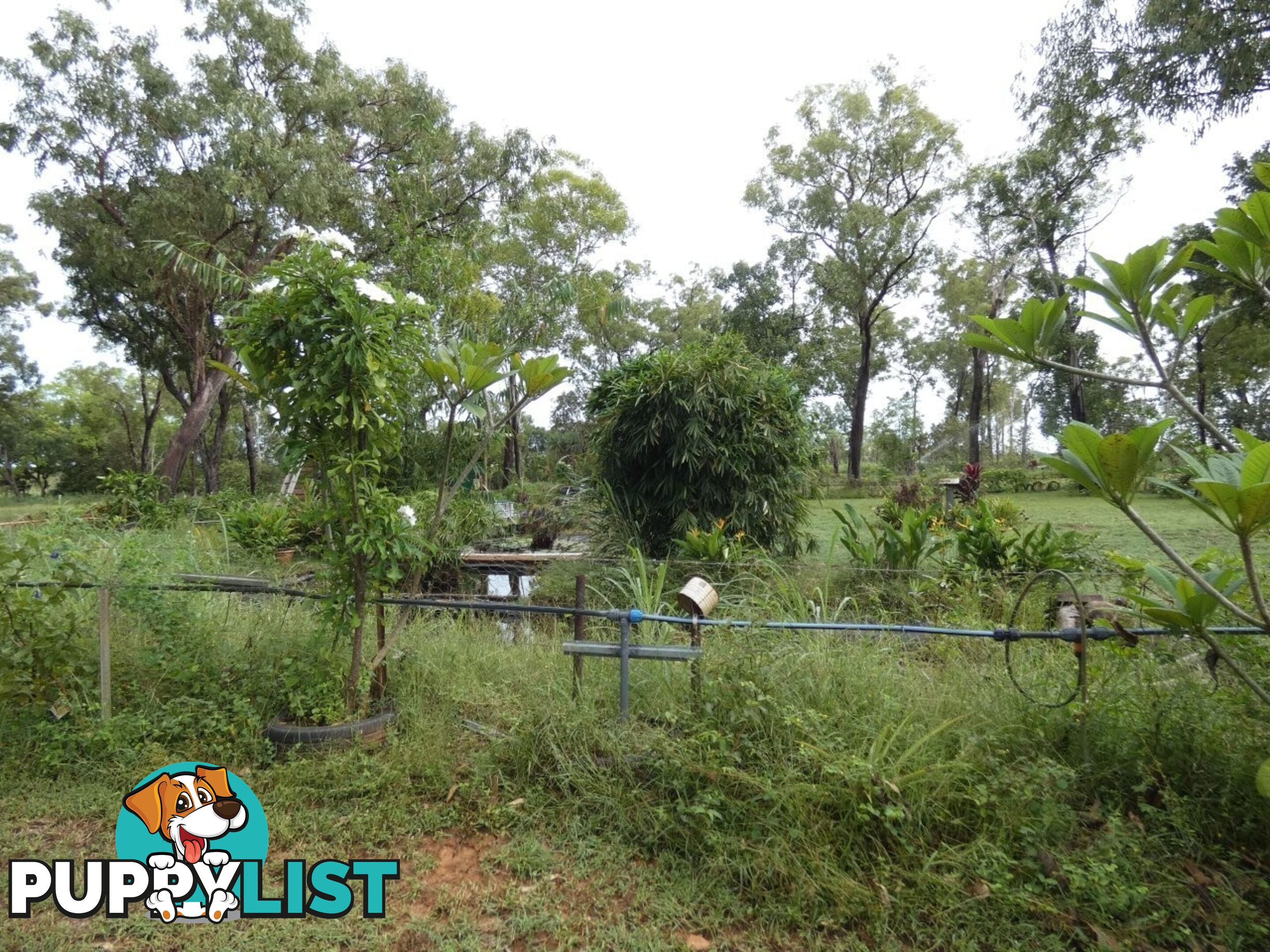 64 Lithgow Road Rum Jungle NT 0822
