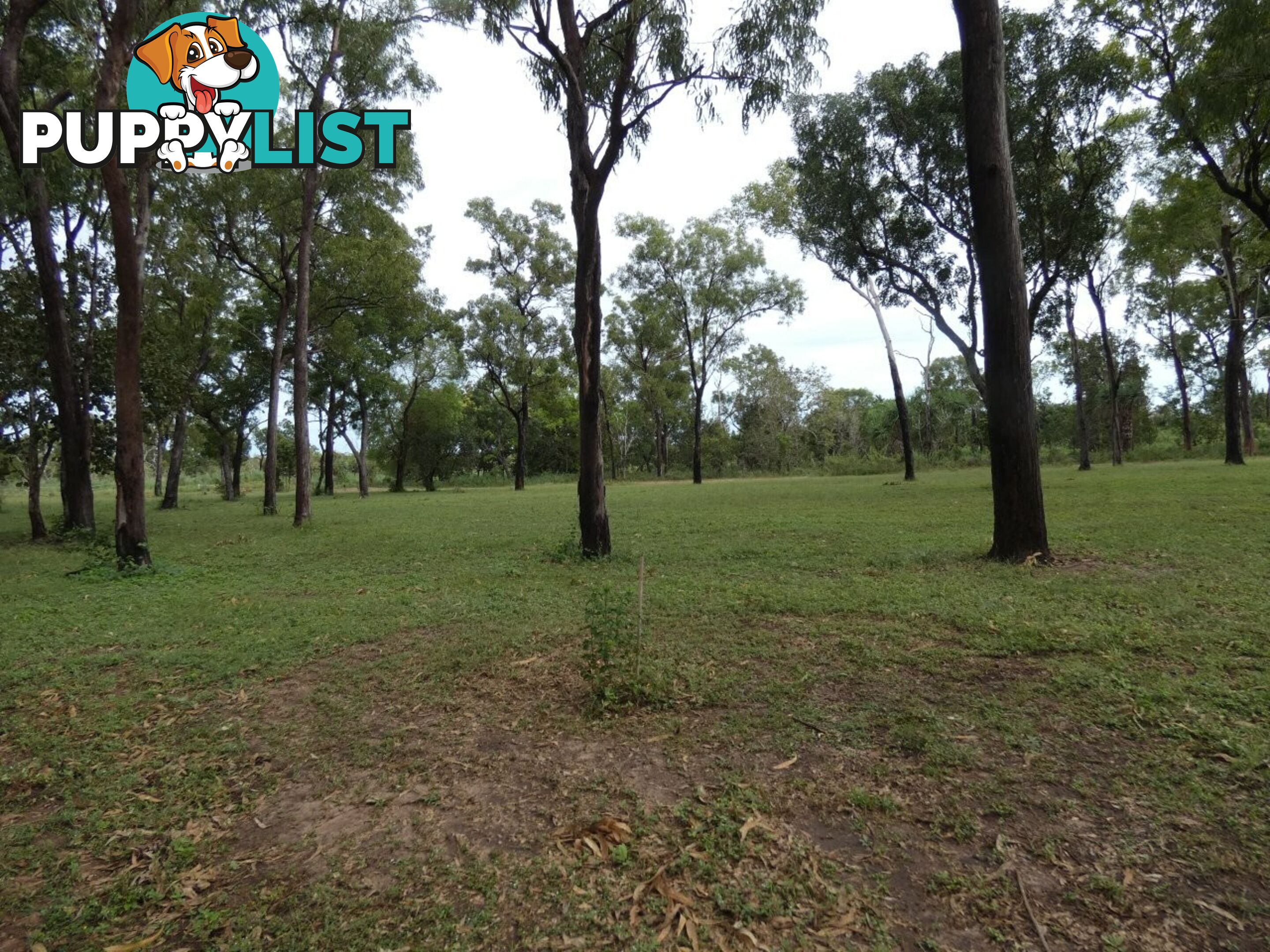 64 Lithgow Road Rum Jungle NT 0822