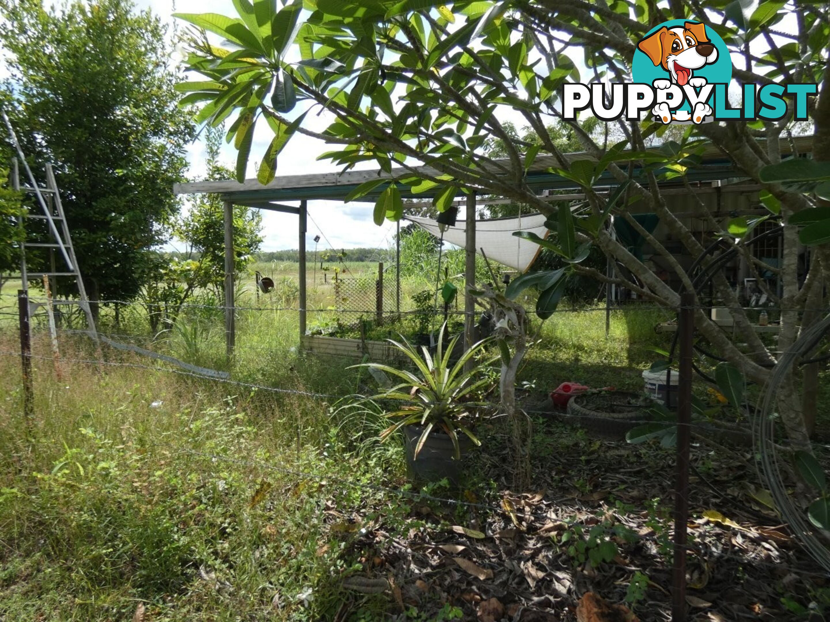 64 Lithgow Road Rum Jungle NT 0822