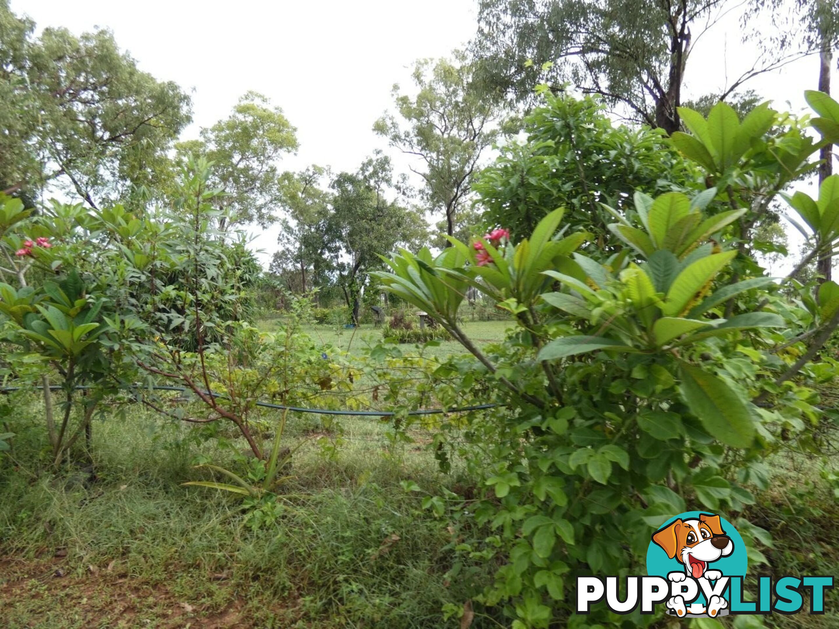 64 Lithgow Road Rum Jungle NT 0822