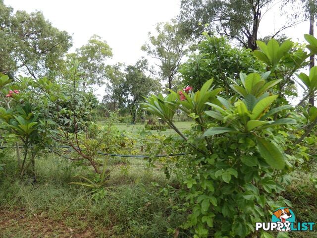 64 Lithgow Road Rum Jungle NT 0822