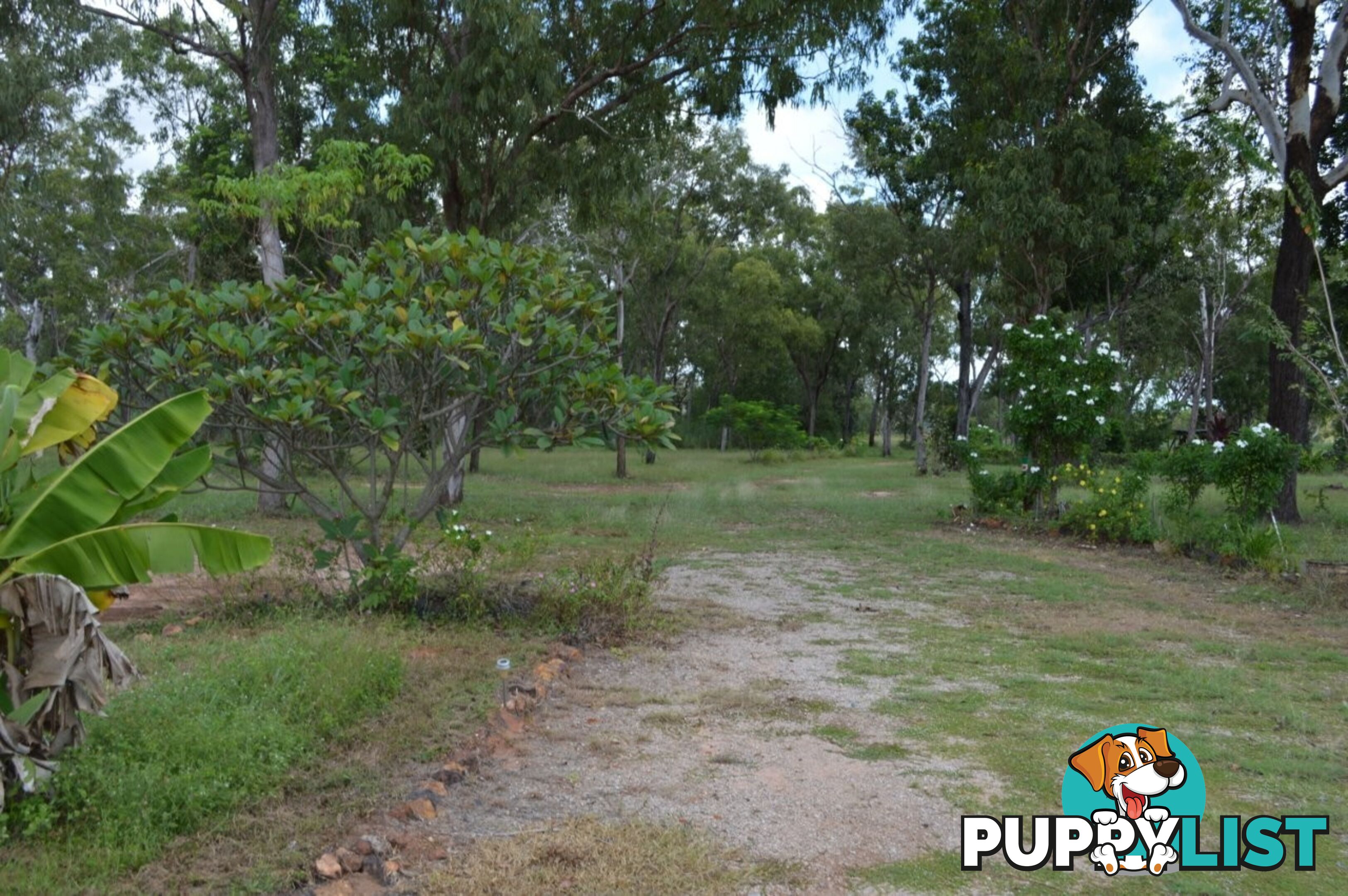 64 Lithgow Road Rum Jungle NT 0822