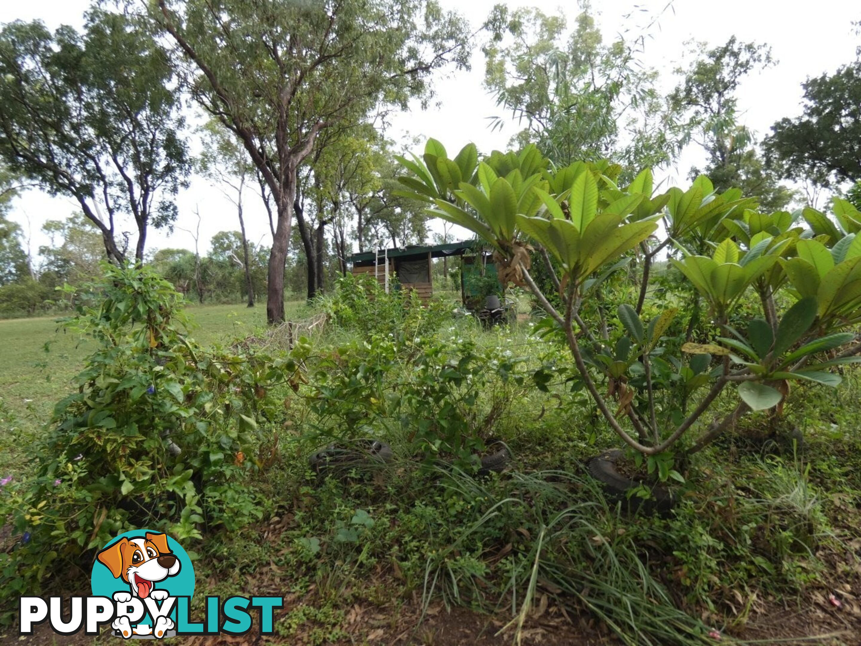 64 Lithgow Road Rum Jungle NT 0822