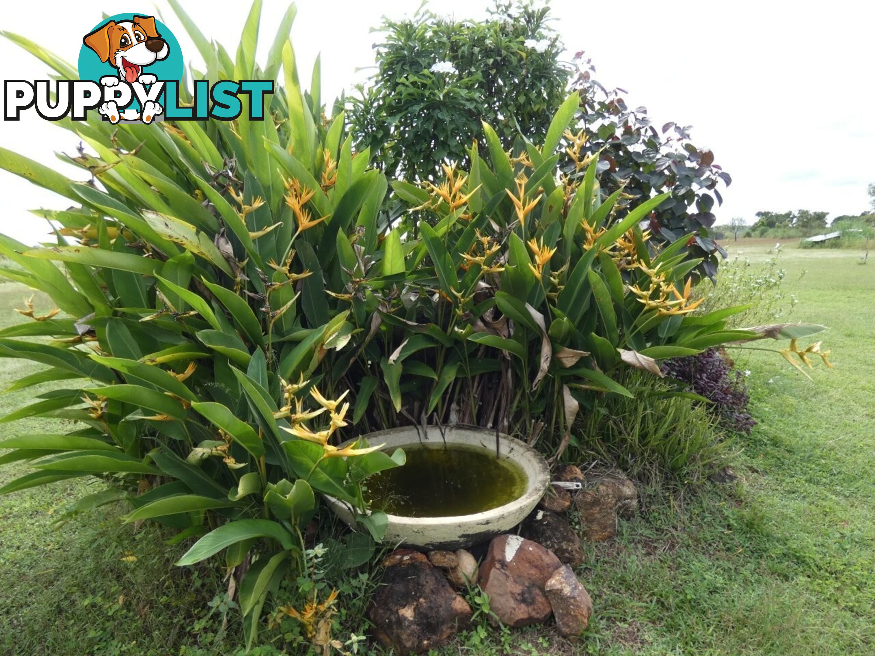 64 Lithgow Road Rum Jungle NT 0822