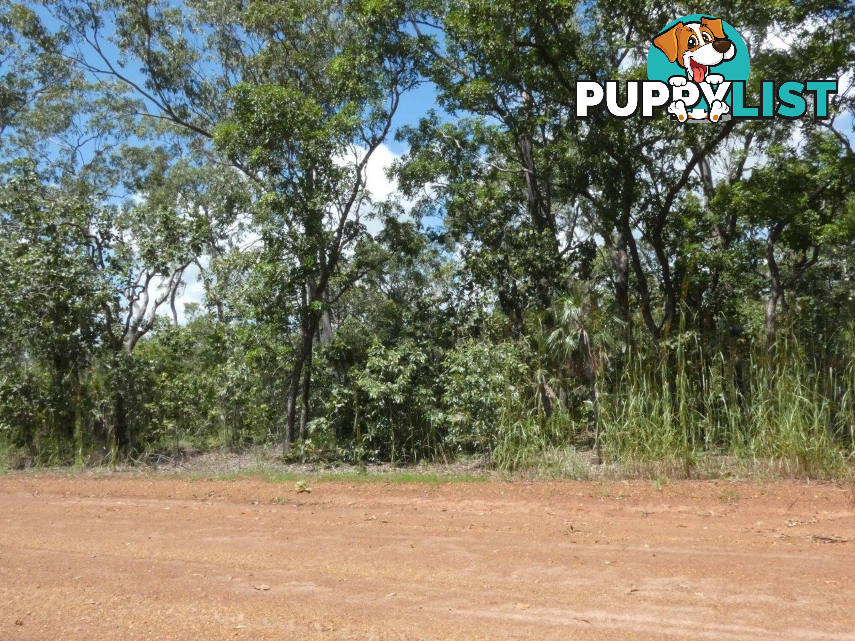 5825 824 Goode Road Lloyd Creek NT 0822