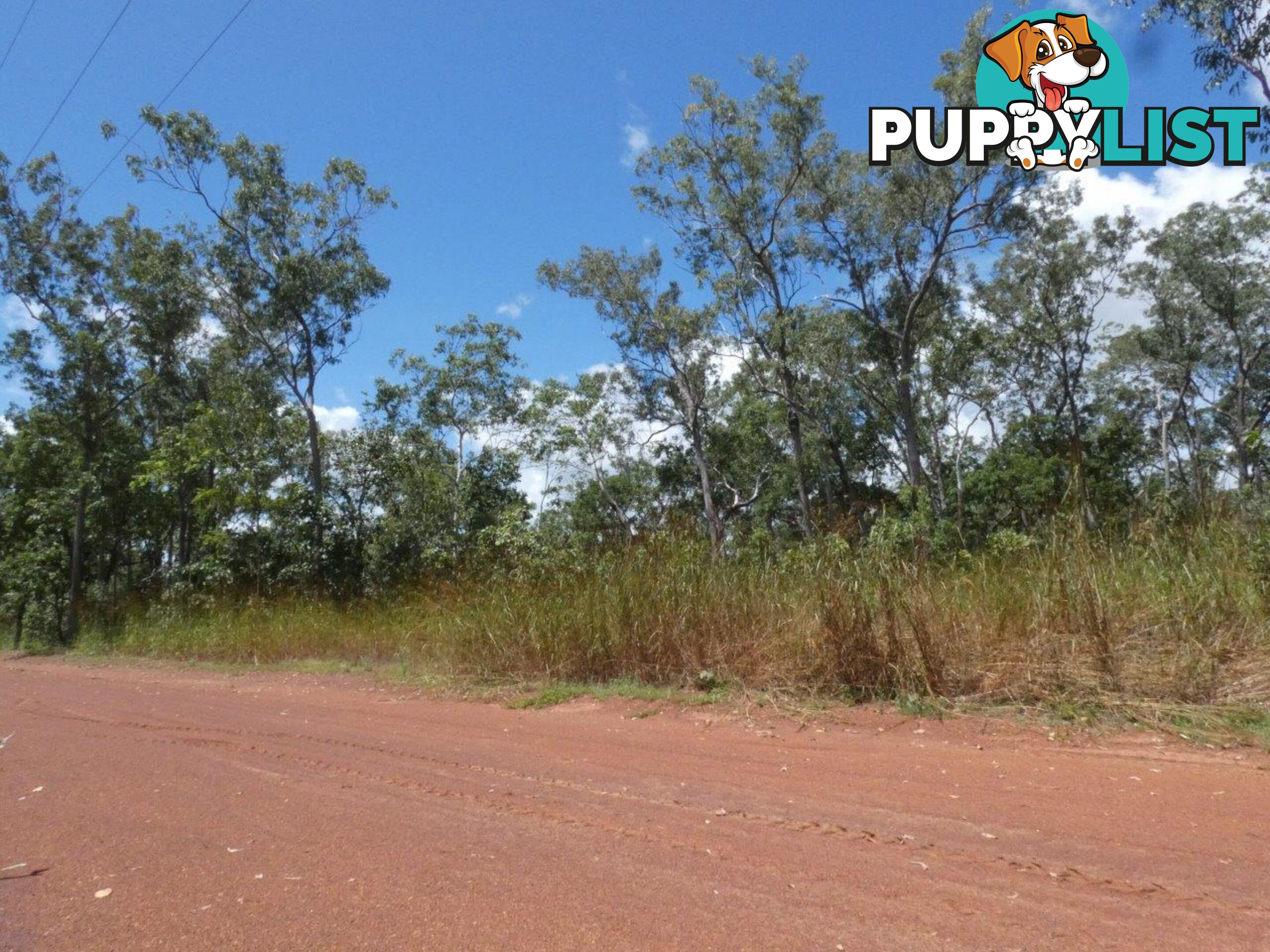 5825 824 Goode Road Lloyd Creek NT 0822