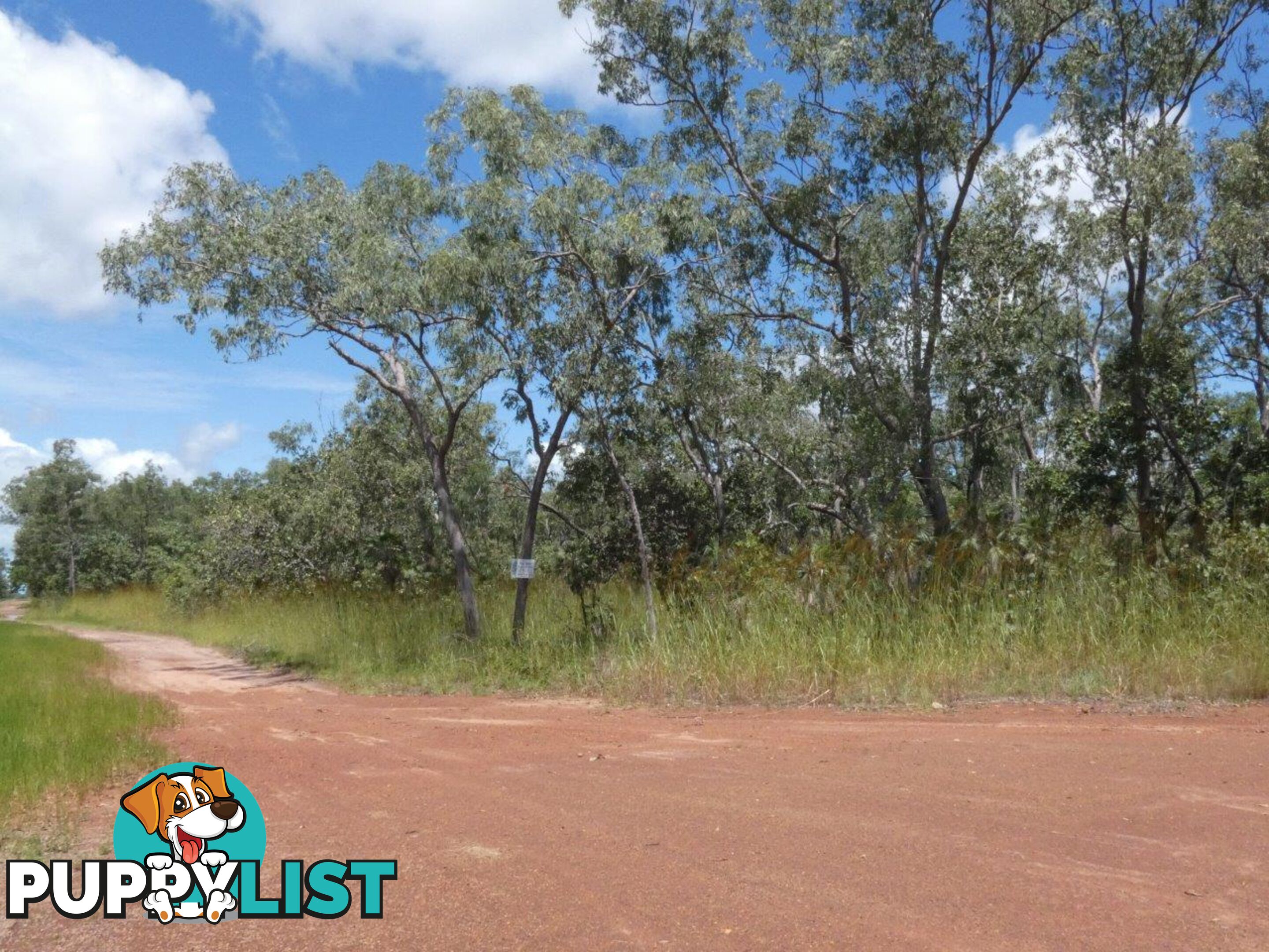 5825 824 Goode Road Lloyd Creek NT 0822