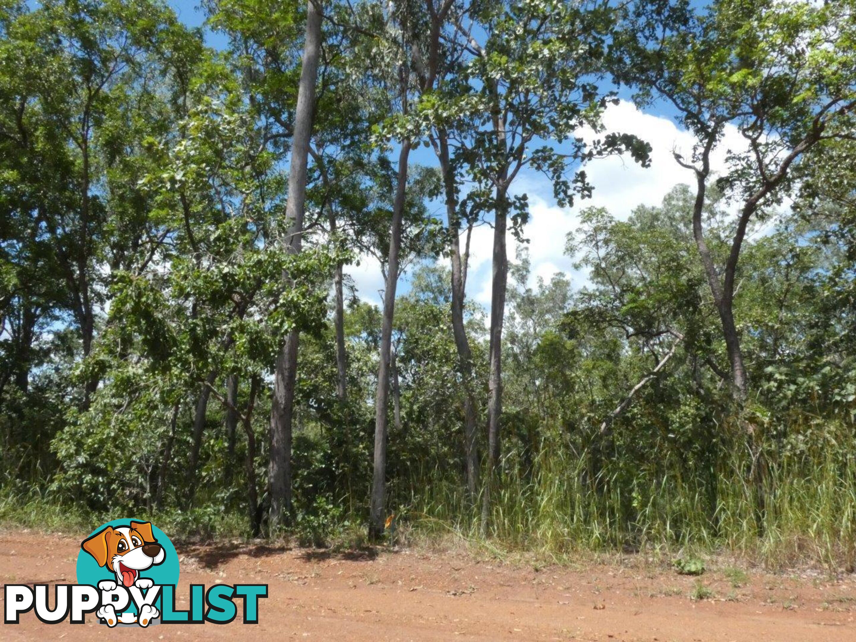 5825 824 Goode Road Lloyd Creek NT 0822