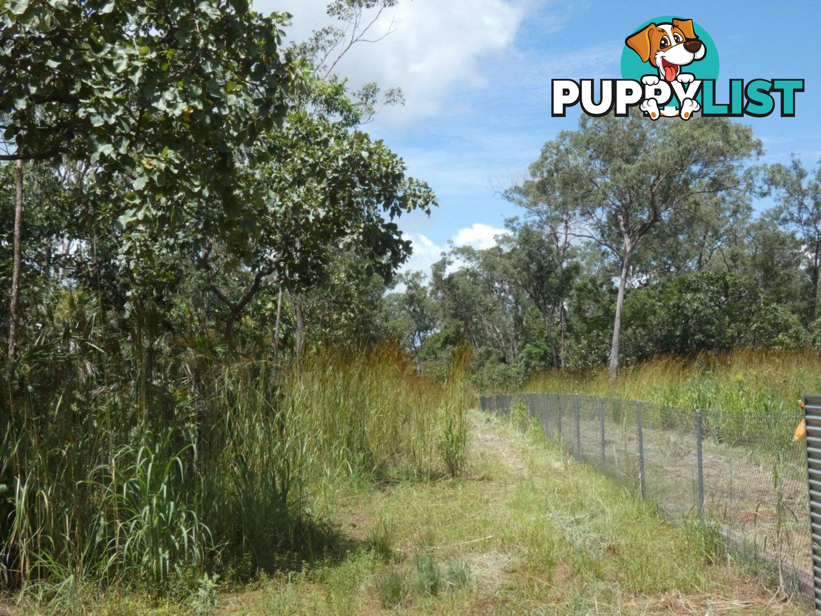 5825 824 Goode Road Lloyd Creek NT 0822