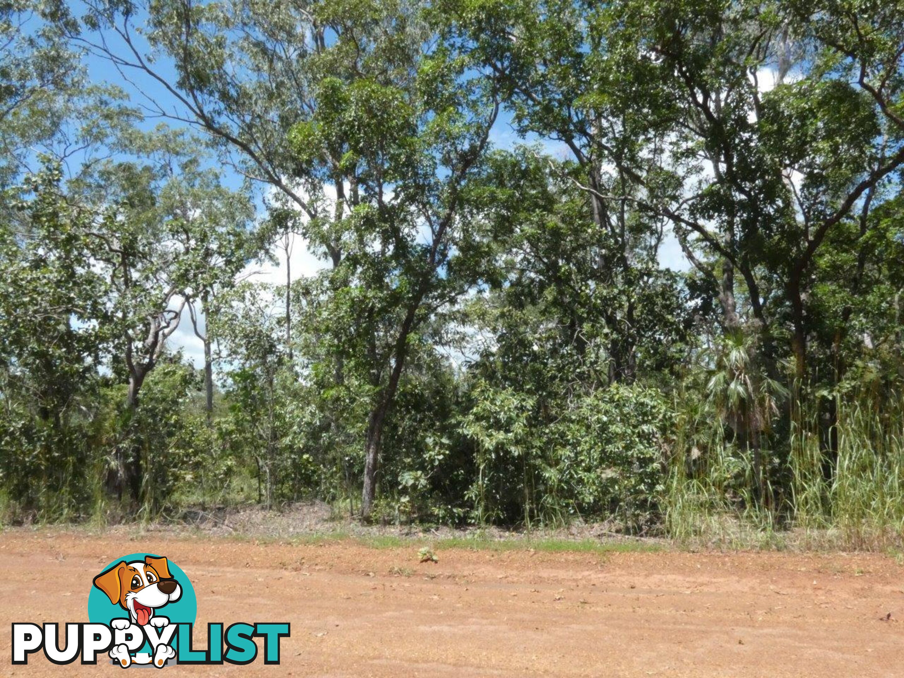 5825 824 Goode Road Lloyd Creek NT 0822