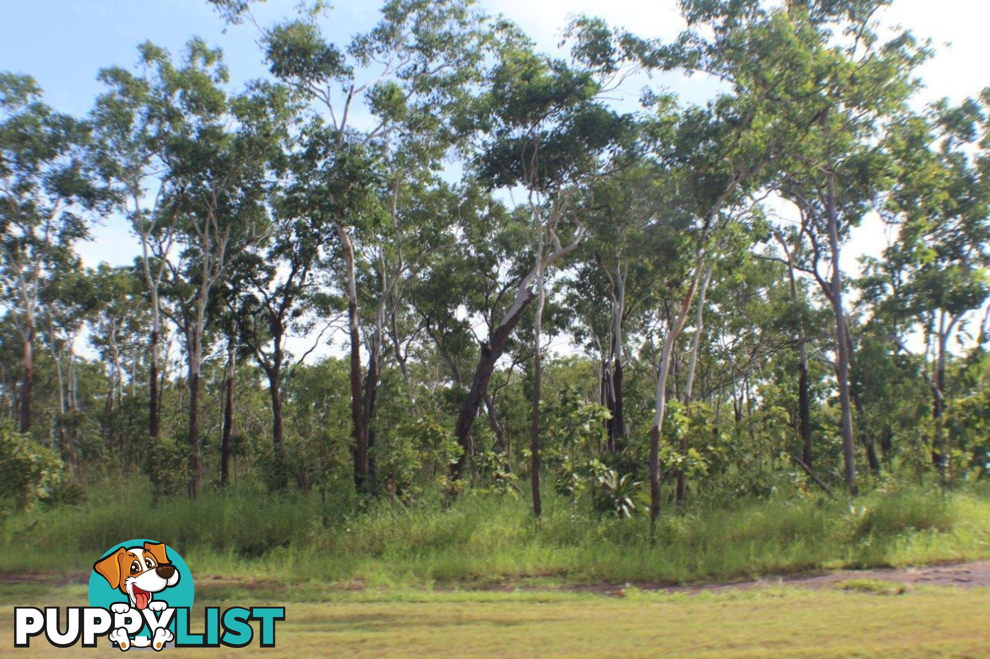 5825 824 Goode Road Lloyd Creek NT 0822