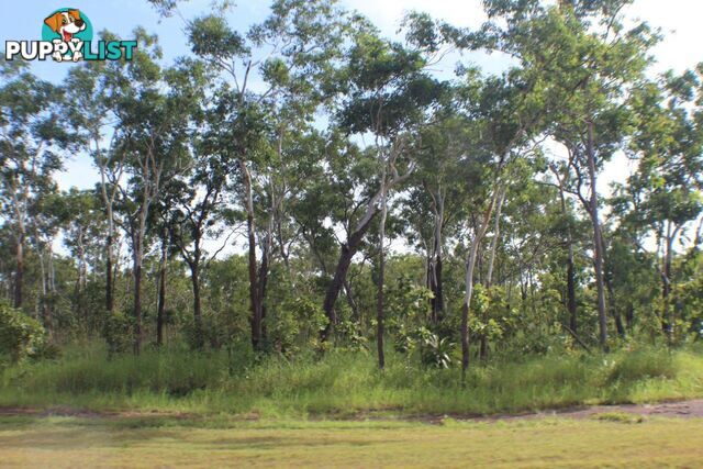 5825 824 Goode Road Lloyd Creek NT 0822