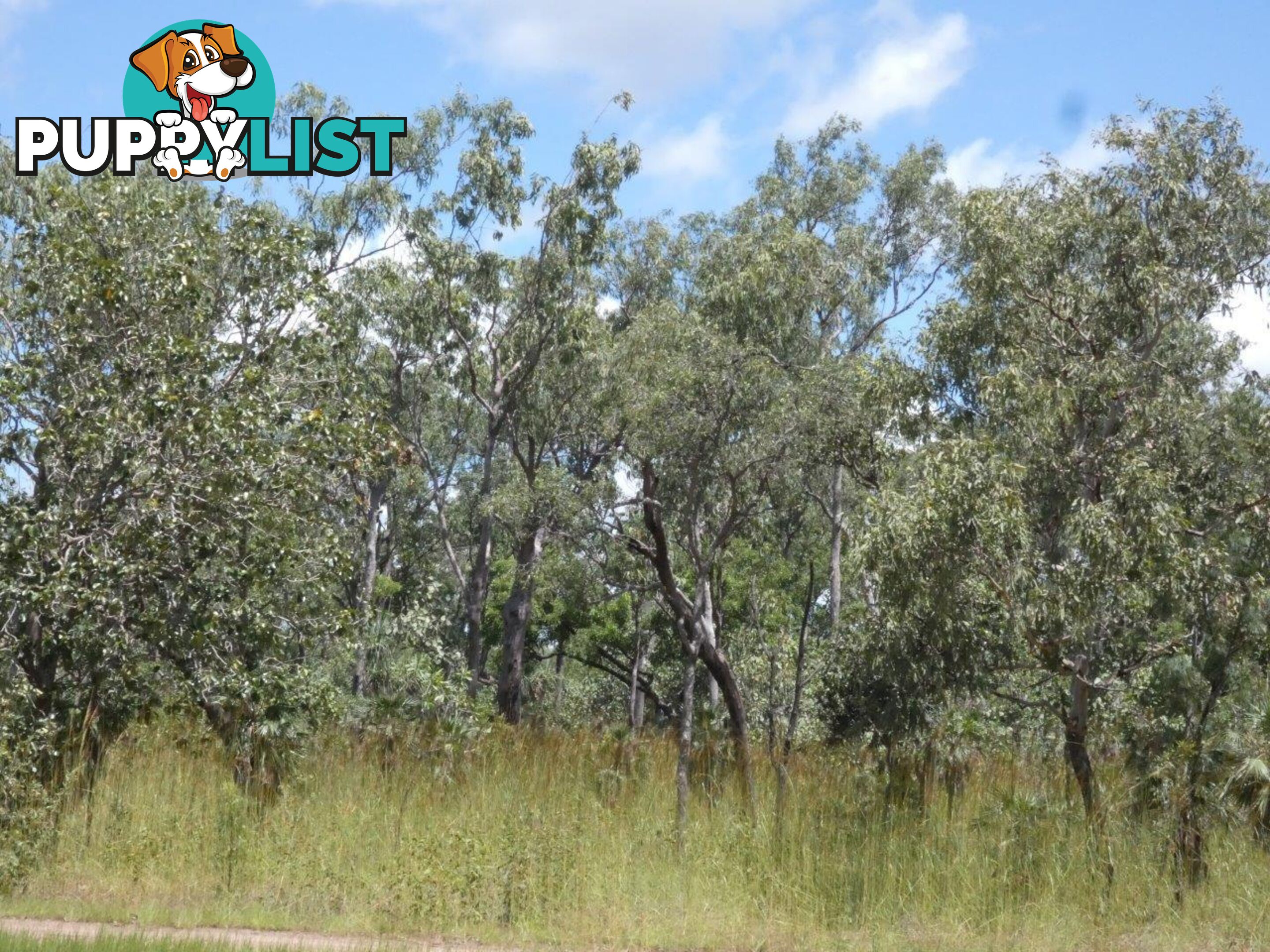 5825 824 Goode Road Lloyd Creek NT 0822