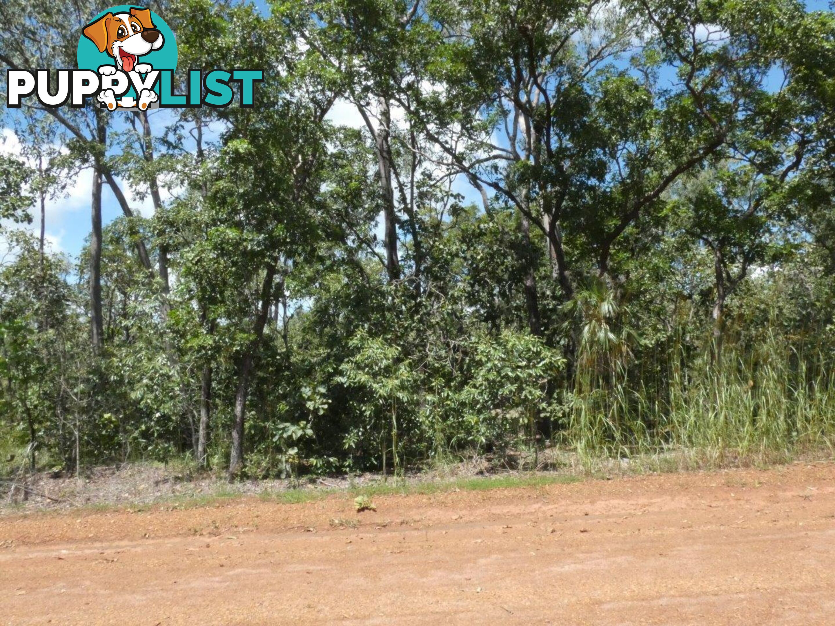 5825 824 Goode Road Lloyd Creek NT 0822