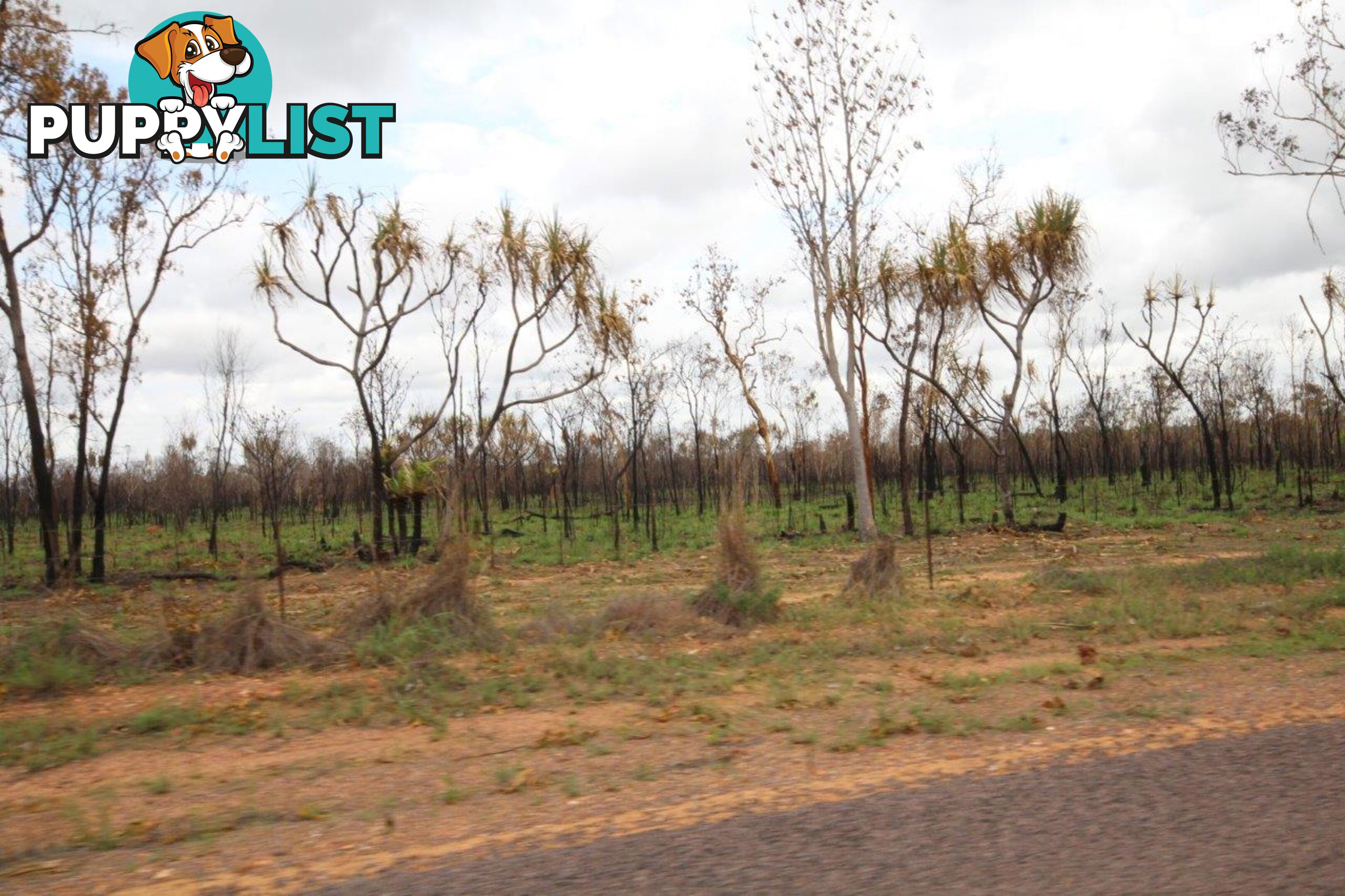 600 Milton Road Batchelor NT 0845