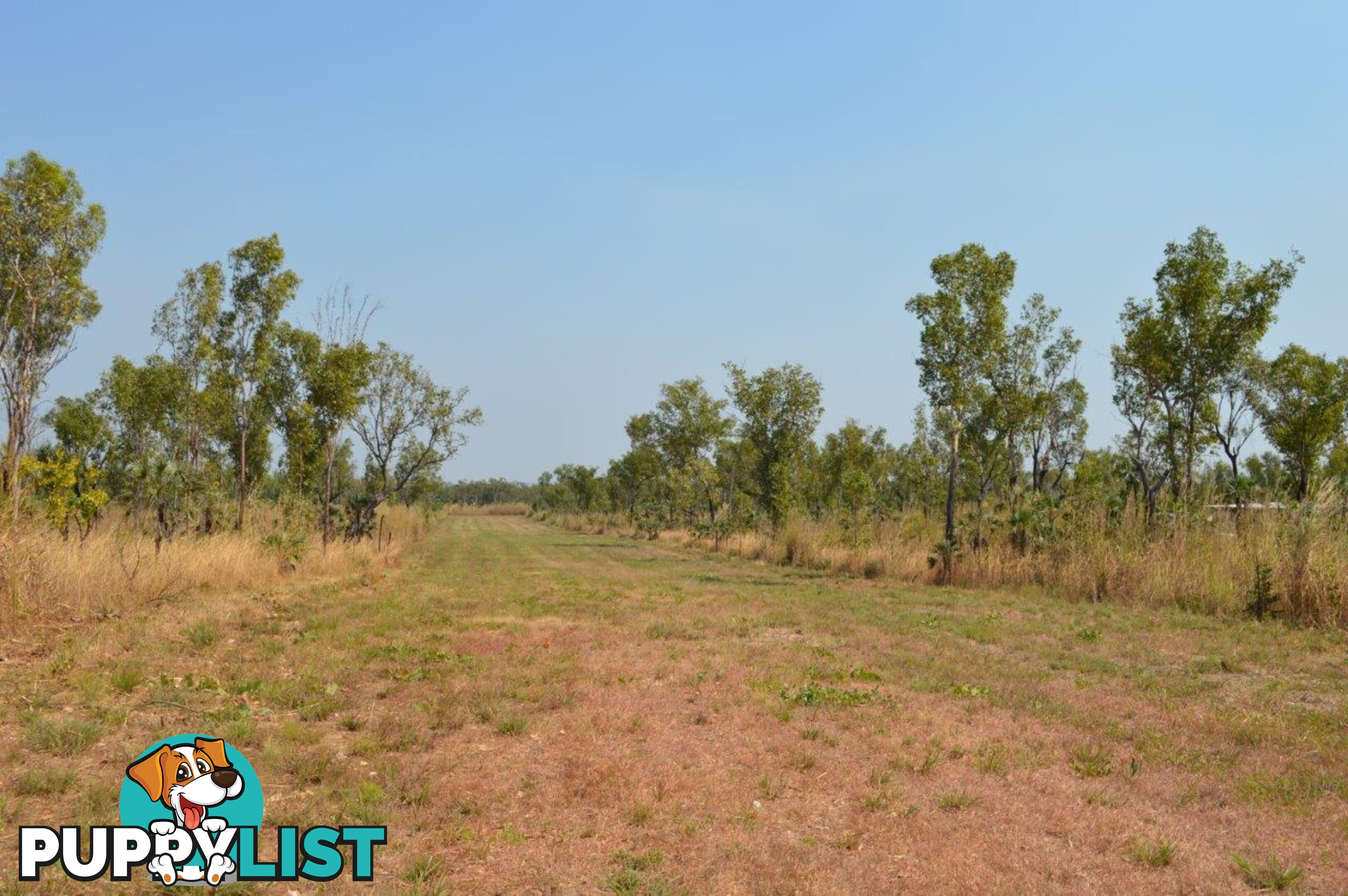 Acacia Hills NT 0822