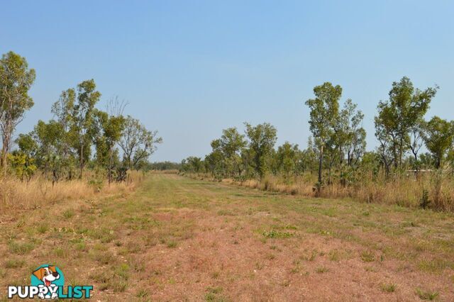 Acacia Hills NT 0822