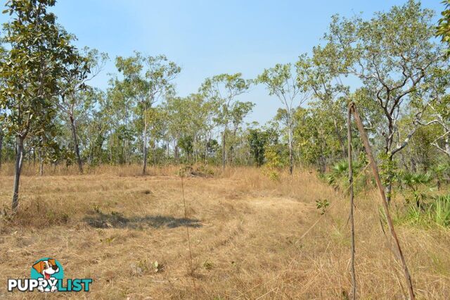 Acacia Hills NT 0822