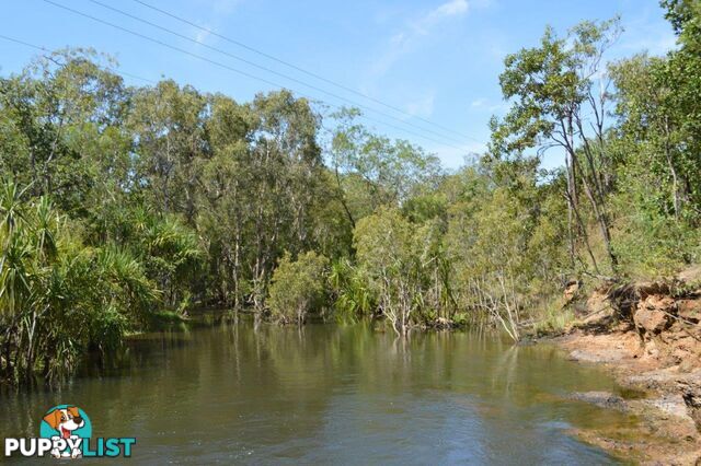 Acacia Hills NT 0822