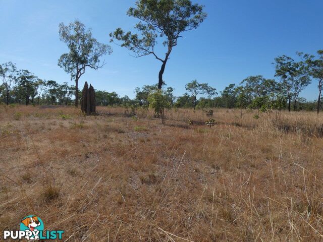 Acacia Hills NT 0822