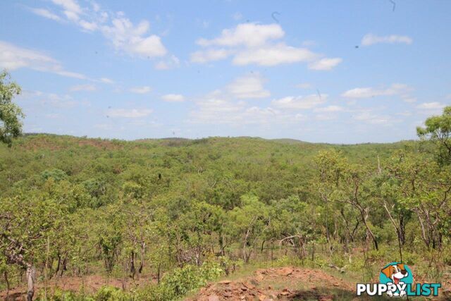 Adelaide River NT 0846