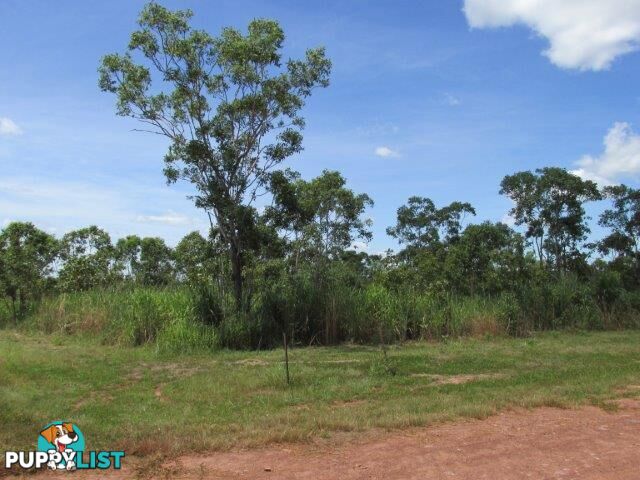 Adelaide River NT 0846