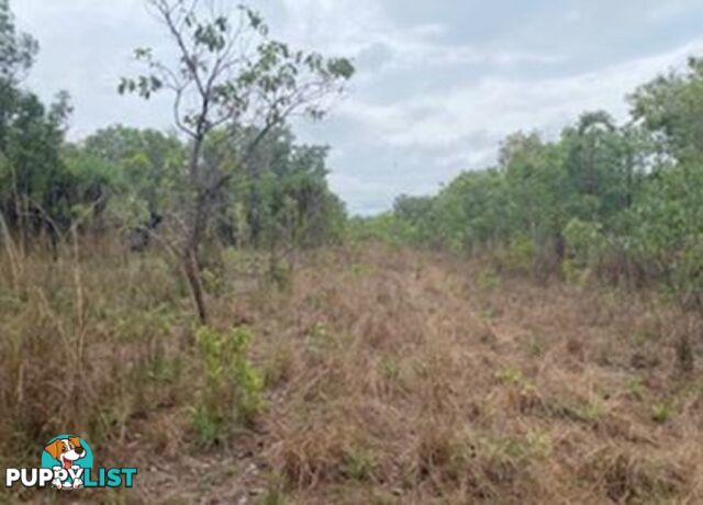 Adelaide River NT 0846