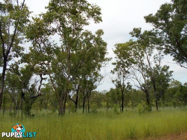 Adelaide River NT 0846