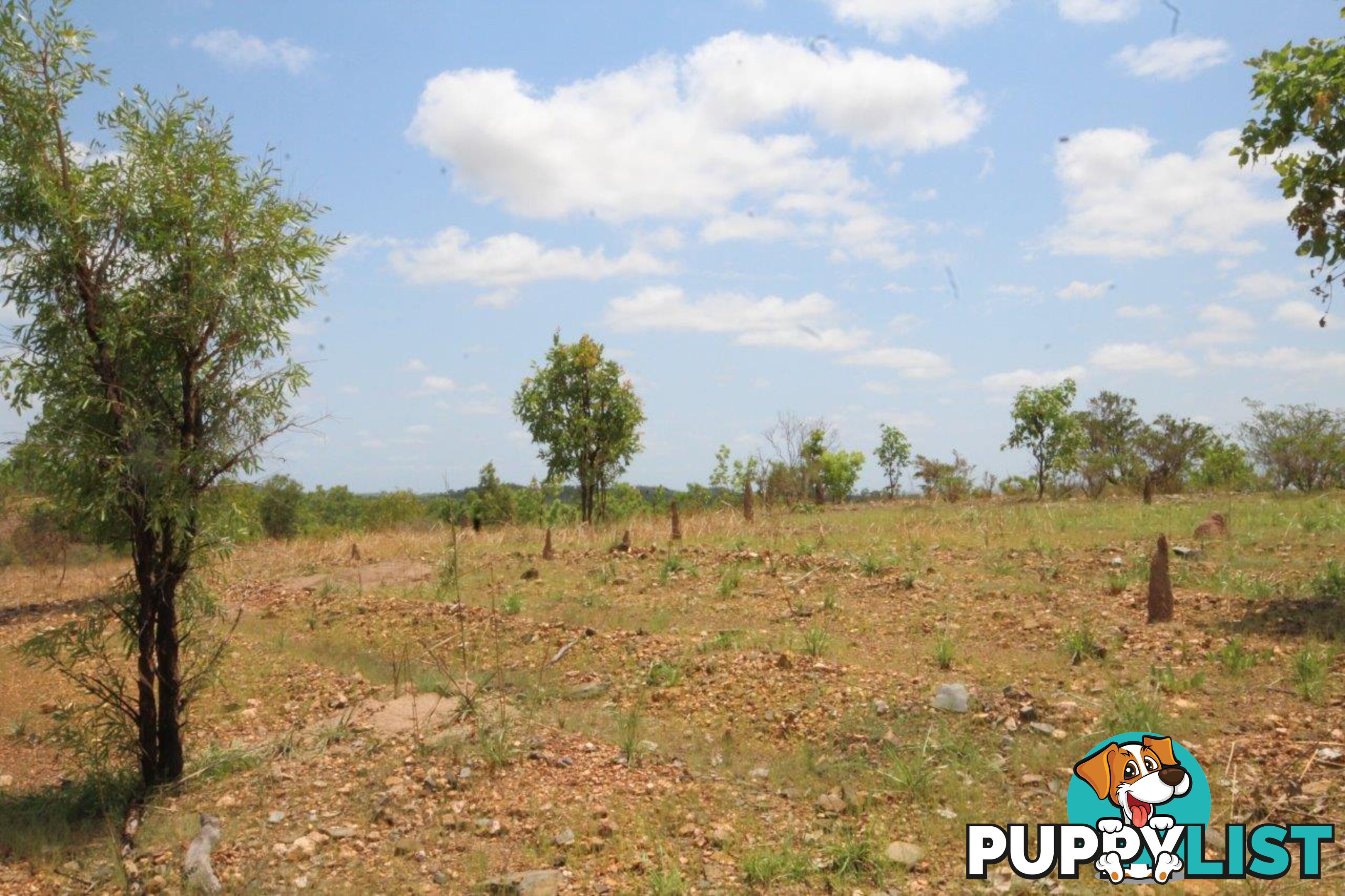 Adelaide River NT 0846