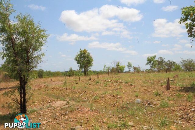 Adelaide River NT 0846