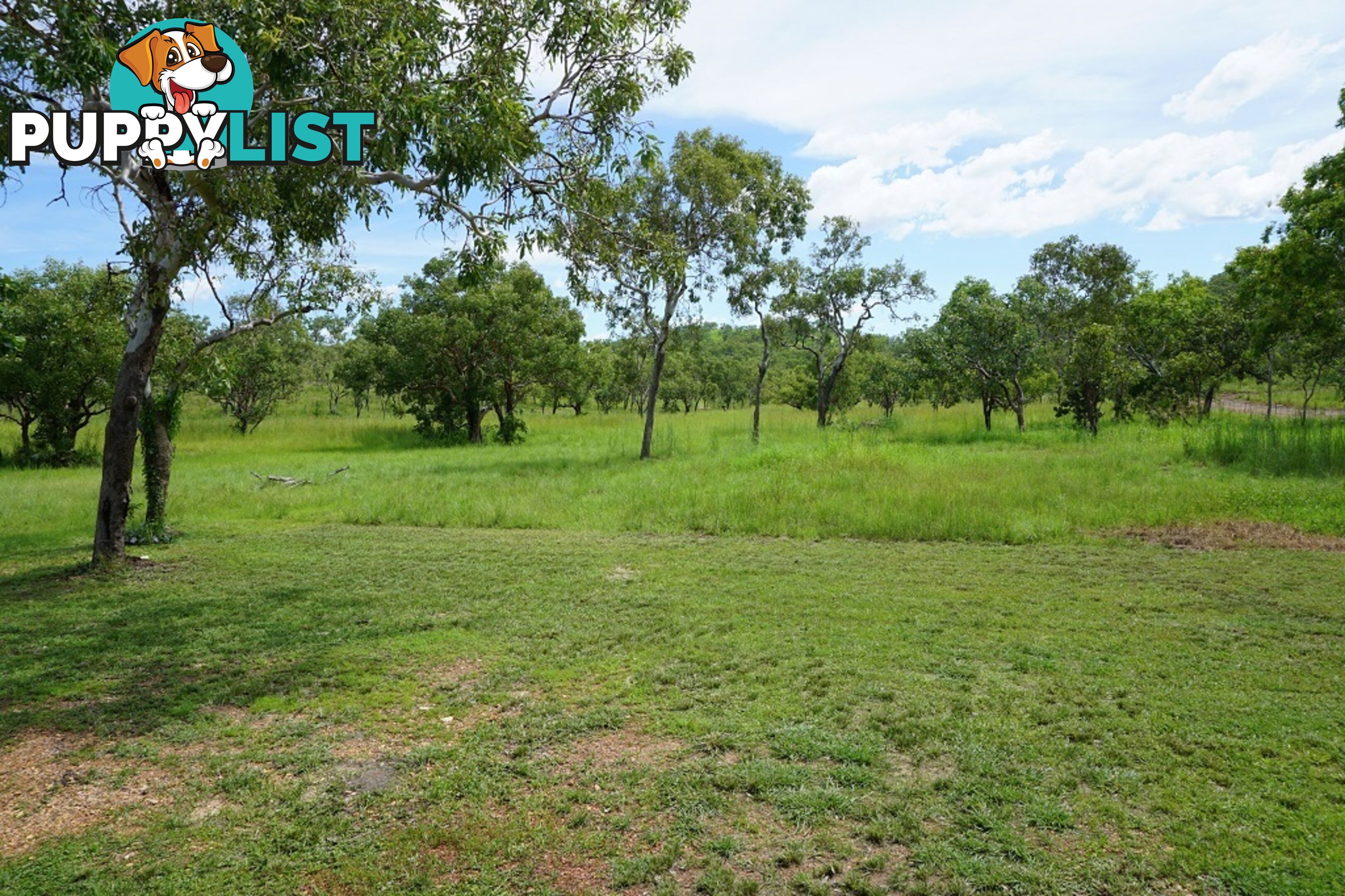 Adelaide River NT 0846