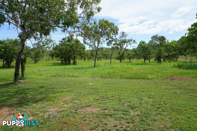 Adelaide River NT 0846