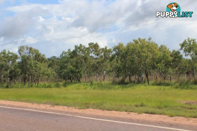 Adelaide River NT 0846