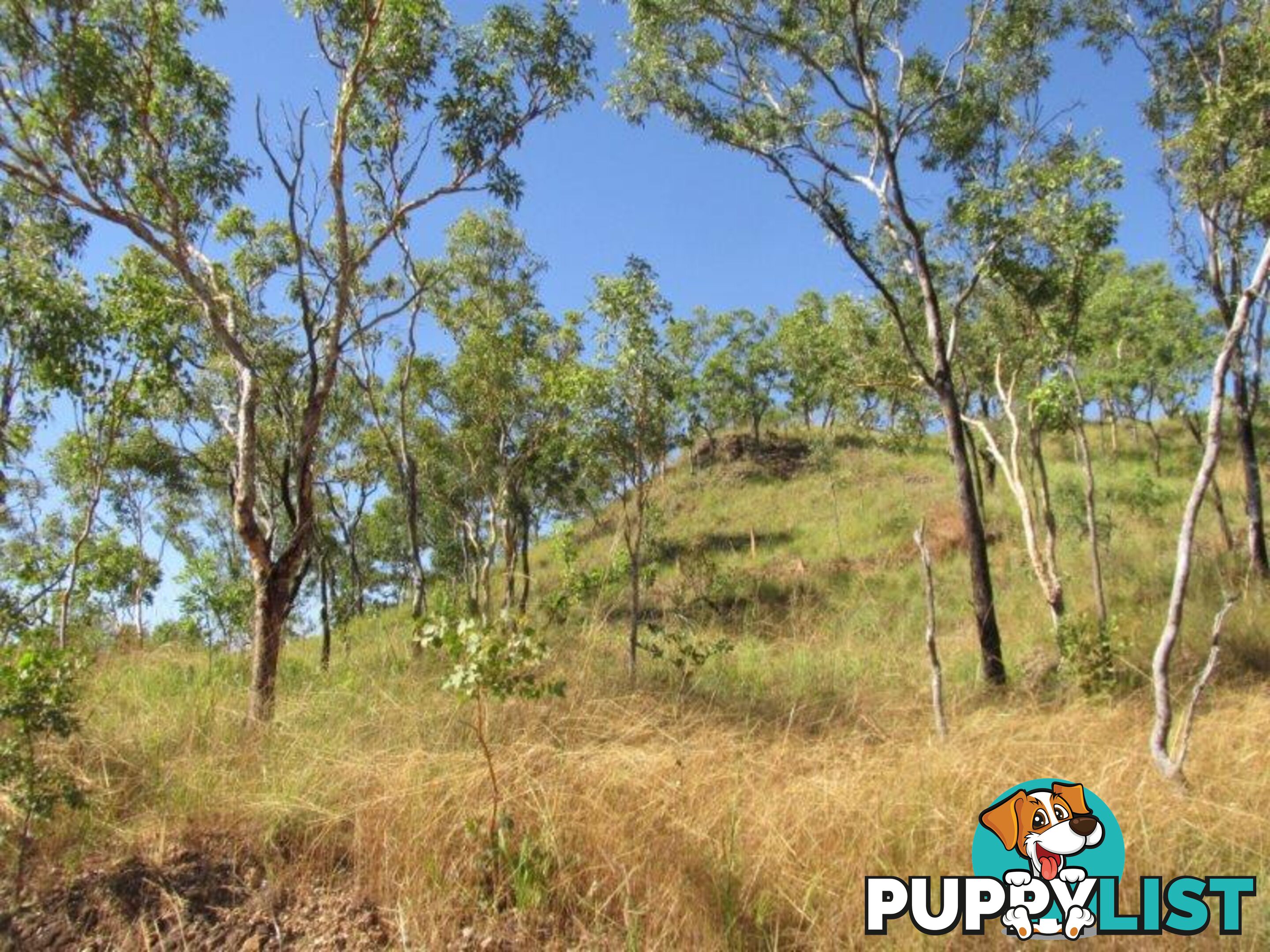 Adelaide River NT 0846