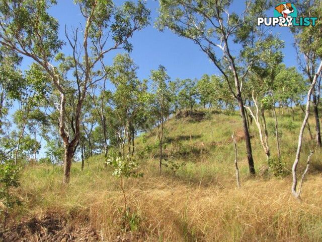 Adelaide River NT 0846