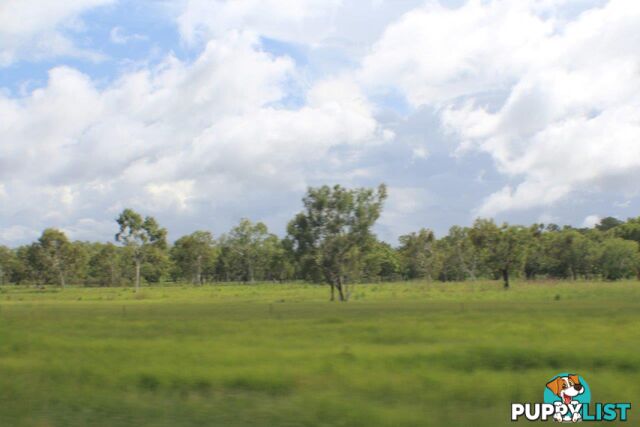 Adelaide River NT 0846