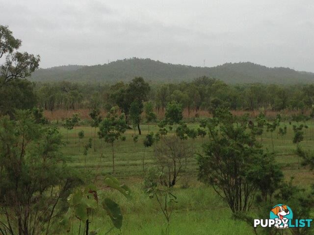 Adelaide River NT 0846