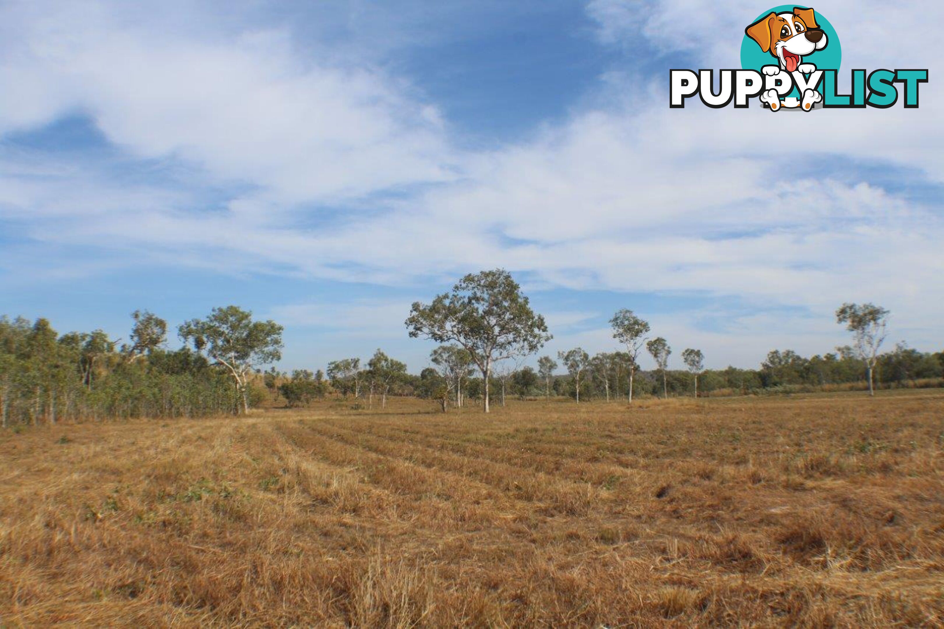 Adelaide River NT 0846