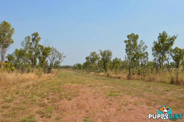 Darwin River NT 0841