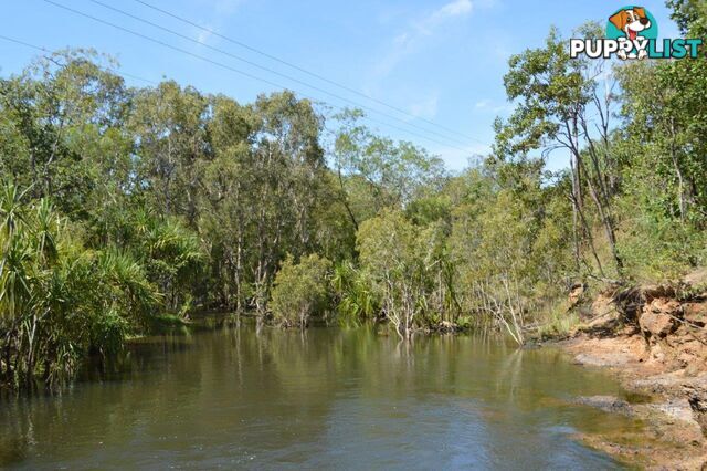 Darwin River NT 0841