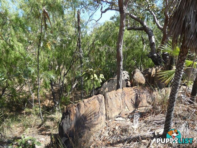 Darwin River NT 0841