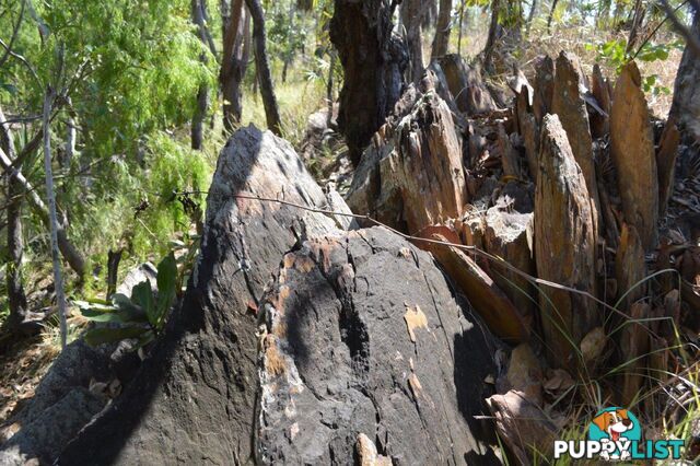 Darwin River NT 0841