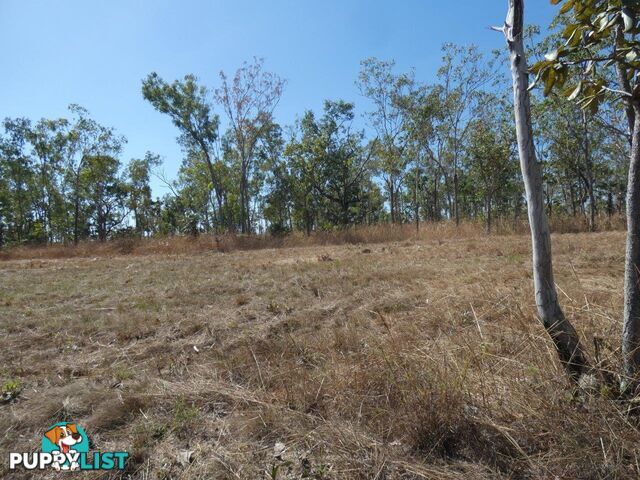 Darwin River NT 0841