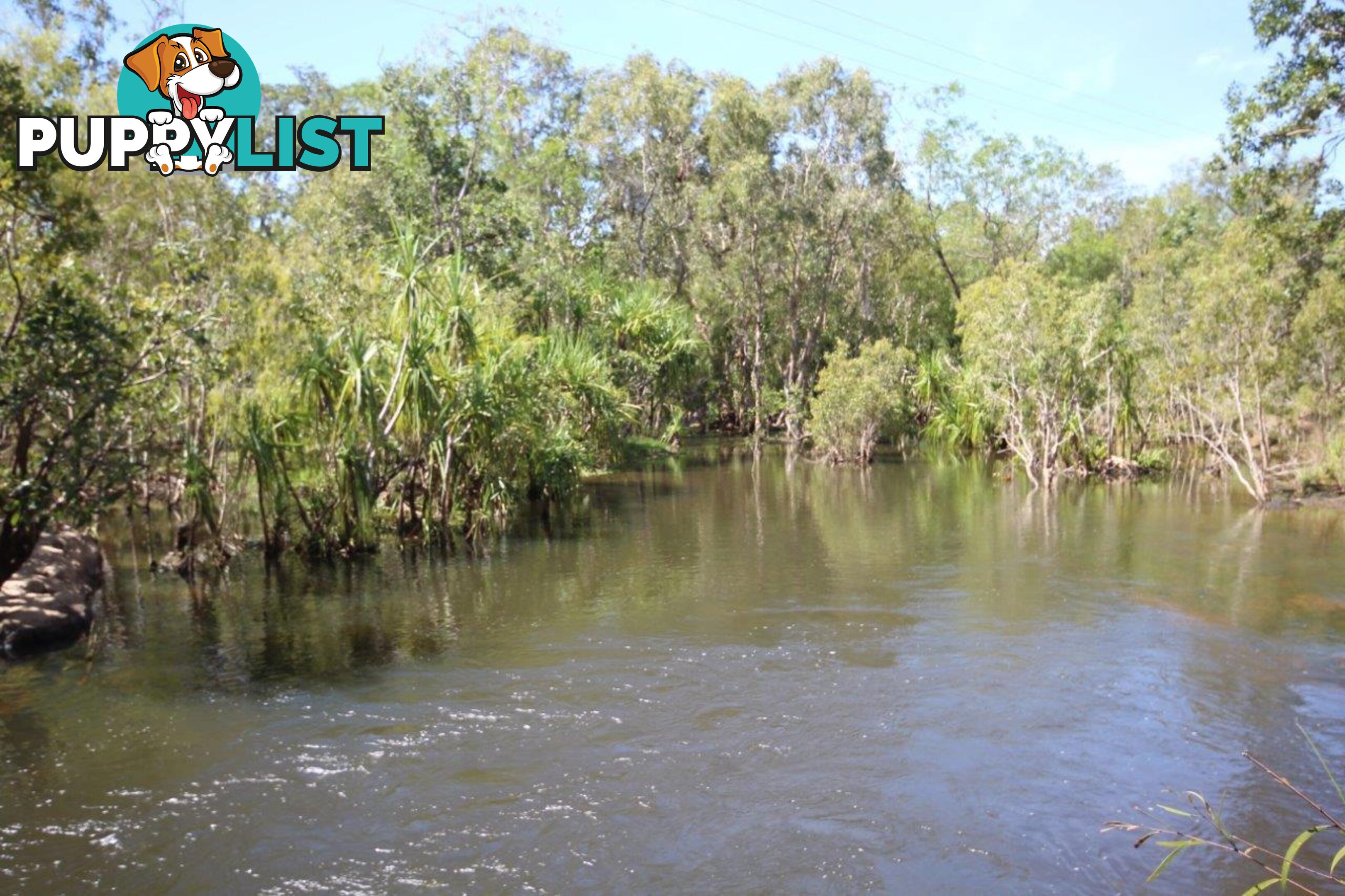 Darwin River NT 0841