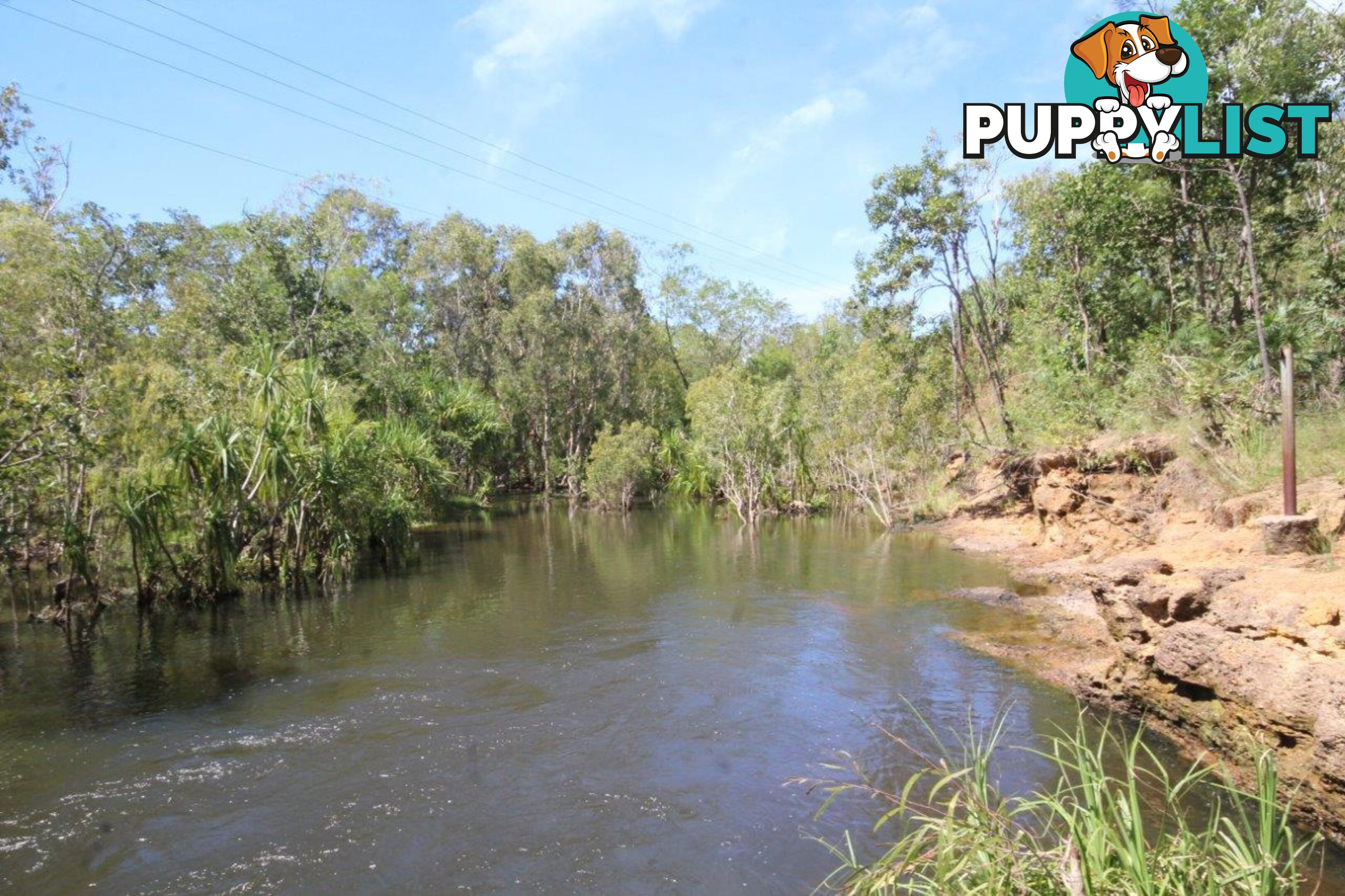 Darwin River NT 0841