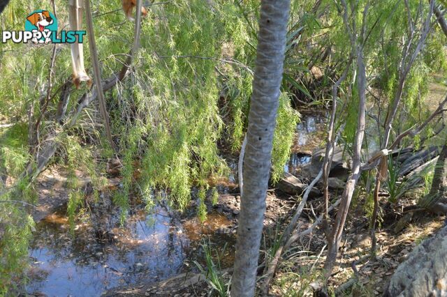 Darwin River NT 0841