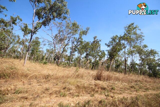 Darwin River NT 0841